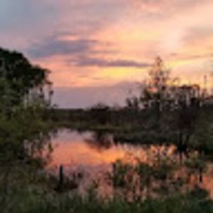 Meet your Posher, Dennis